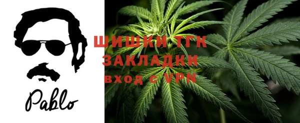 гашик Абаза