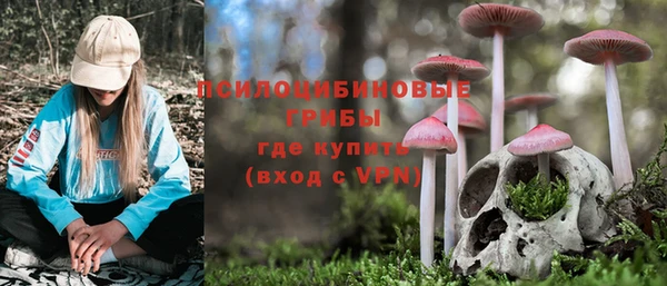 героин Алзамай