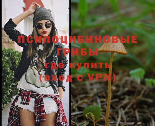 кокс Алексеевка