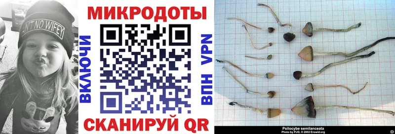 где купить наркоту  Нижняя Салда  Галлюциногенные грибы ЛСД 